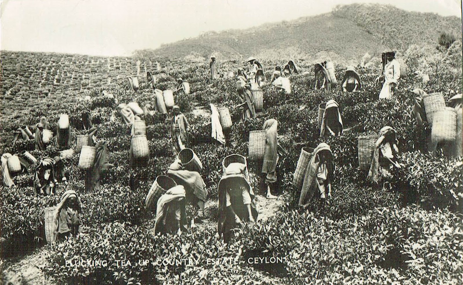 History Image 1